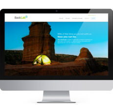 home page design for backlab