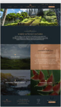 corporate website design for eternal resorts
