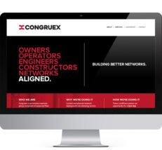 desktop website design for congreux